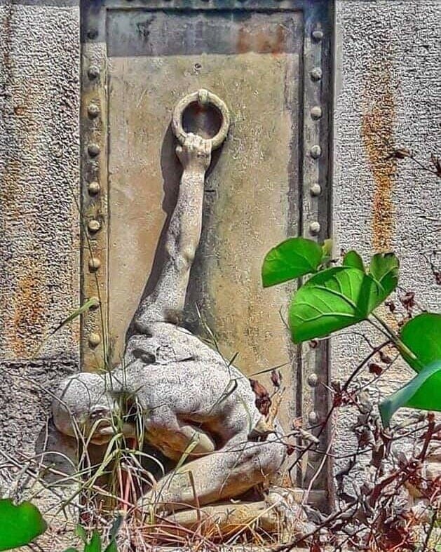 фото из интернета