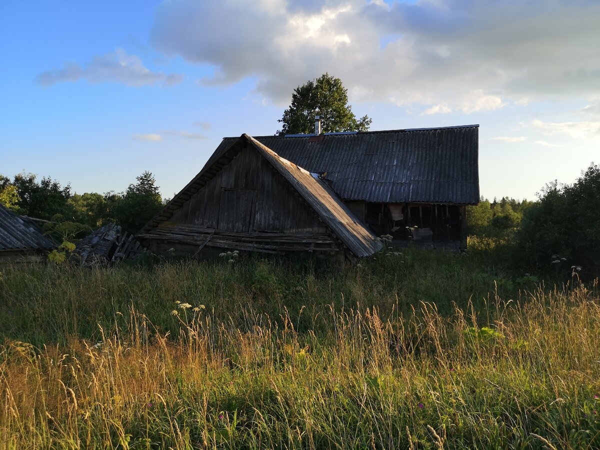 фото демянского района