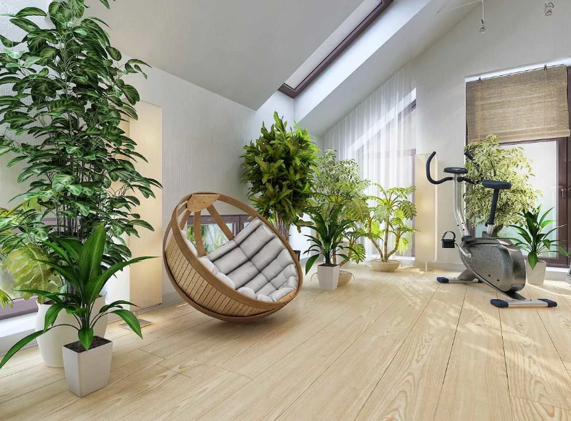 Зелёная зона: как оформить интерьер растениями?