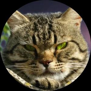 Александр СалищевОпубликовано: месяц назад427565СодержаниеХарактеристикиЖелезо, софт и операционная система