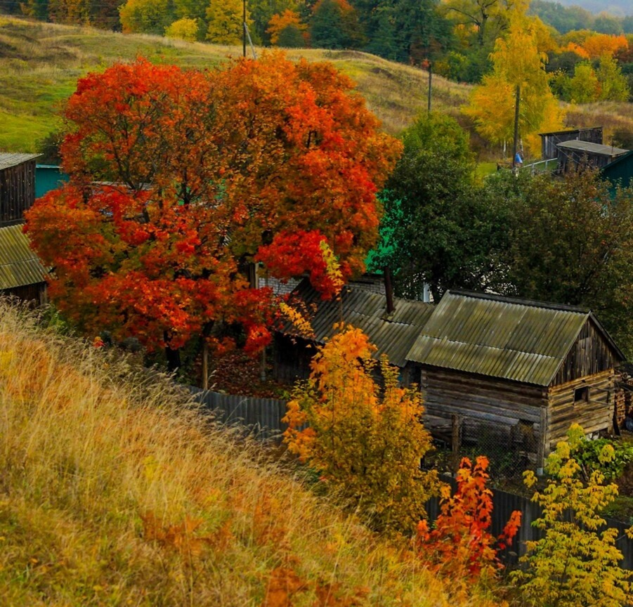 Autumn 5. Дача осенью Россия. Осень в Сурском. Осень дача в горе. Эсте осень в глубинке.