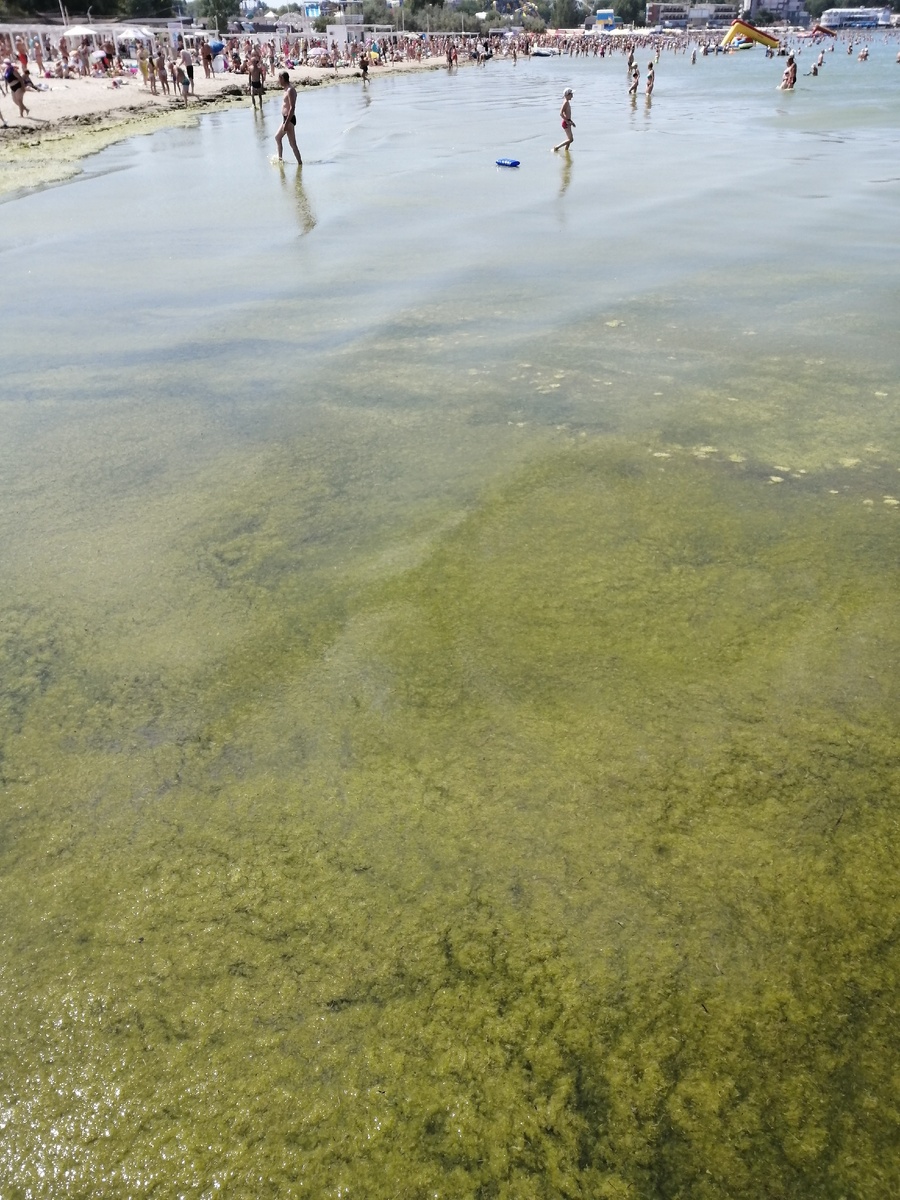 Чёрное море