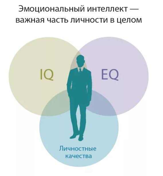 Сегодня при отборе кандидатов на работу когда то очень модный IQ уже не замеряют, зато очень интересуются уровнем EQ - эмоционального интеллекта.-2