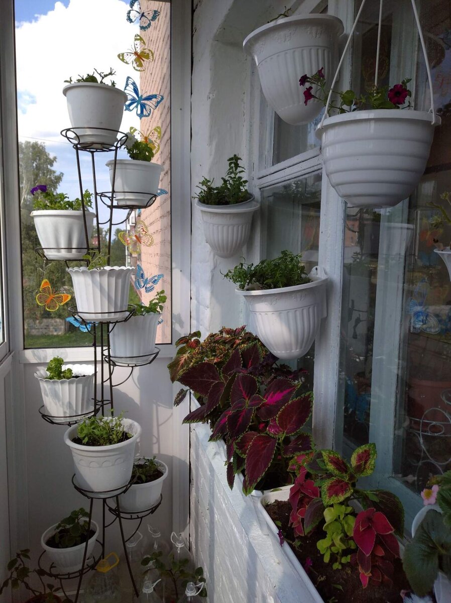 как и не было, как приснилось