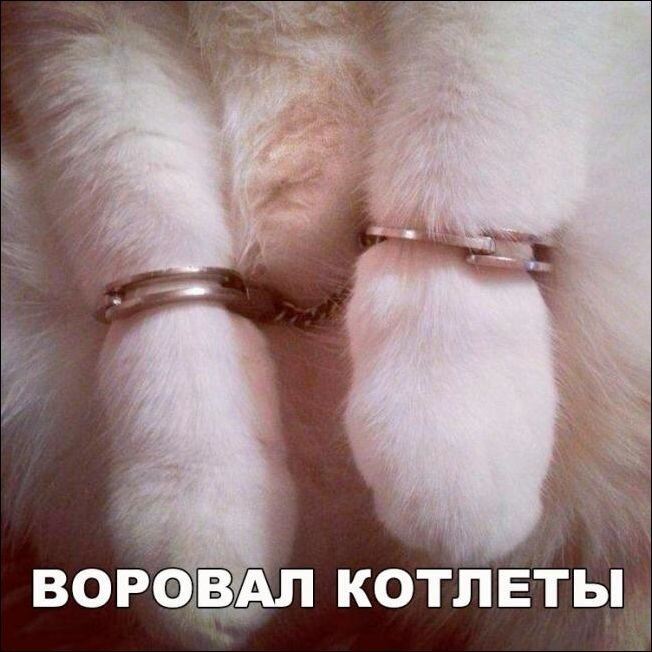 Ибо не только лишь все могут говорить.