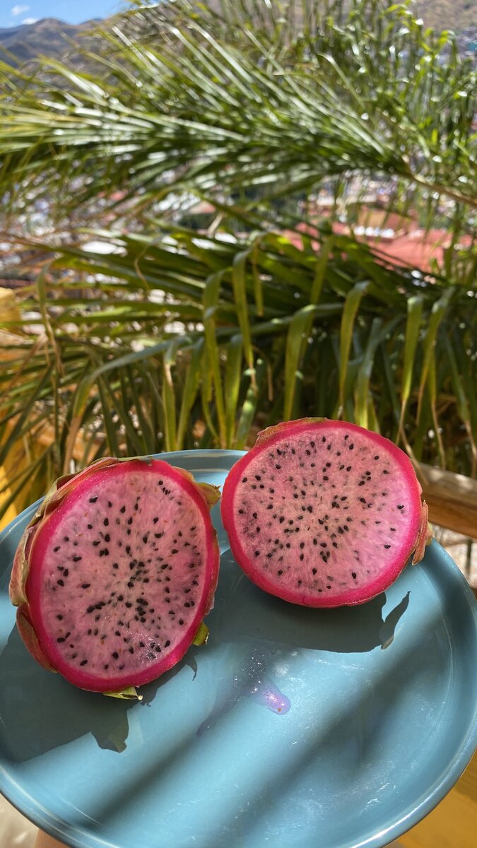 Экзотические фрукты в Мексике (фото автора)