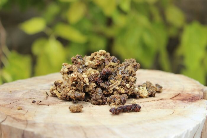 Прополис добавляют в мед и используют как лекарственное средство