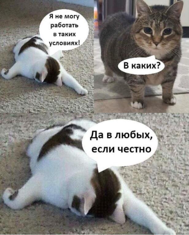 Яндекс картинки 