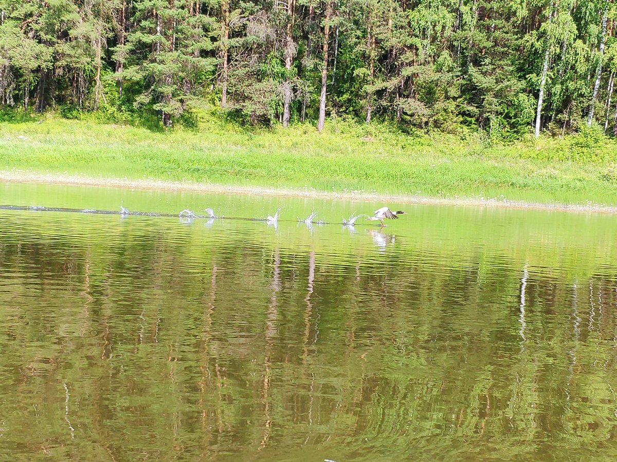 Река Чусовая 