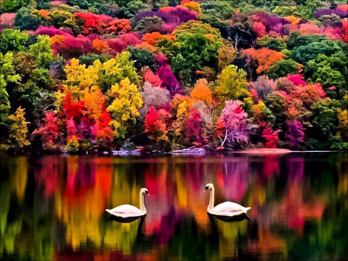 картинка найдена на просторах интернета.