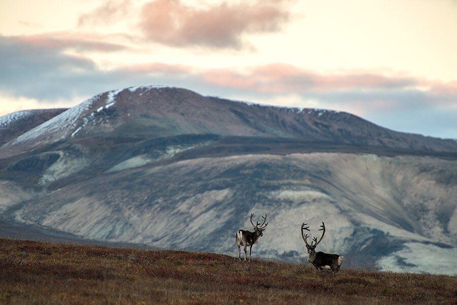алтай чукотка. керри народность чукотка. чукотский автономный округ тундра. чукотский авт. чукотский автономный округ природа.