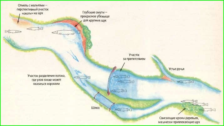 Лоция сильно помогает в поисках перспективных мест, современные карты в картплоттере с изобатами глубин еще лучше.