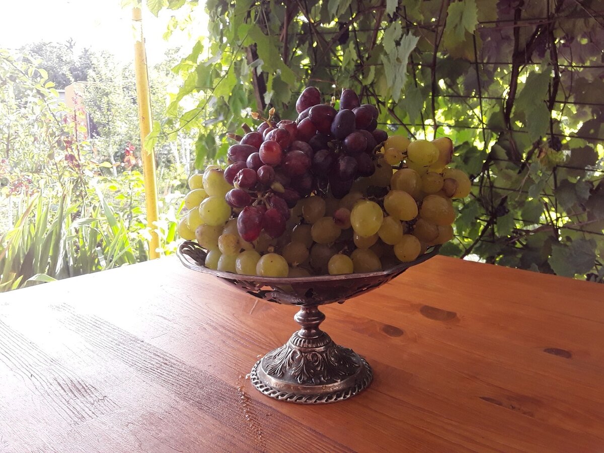 Зеленый - "Лучезарный", синий - "Гармония", отобранные у осы