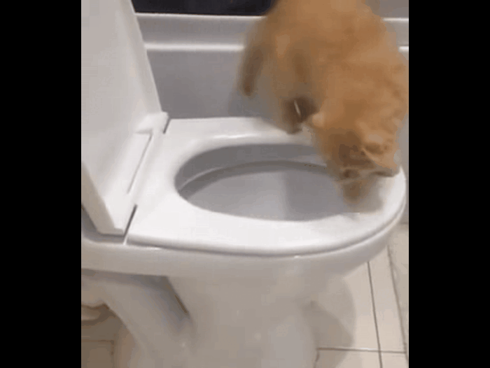 Источник: youtube.com