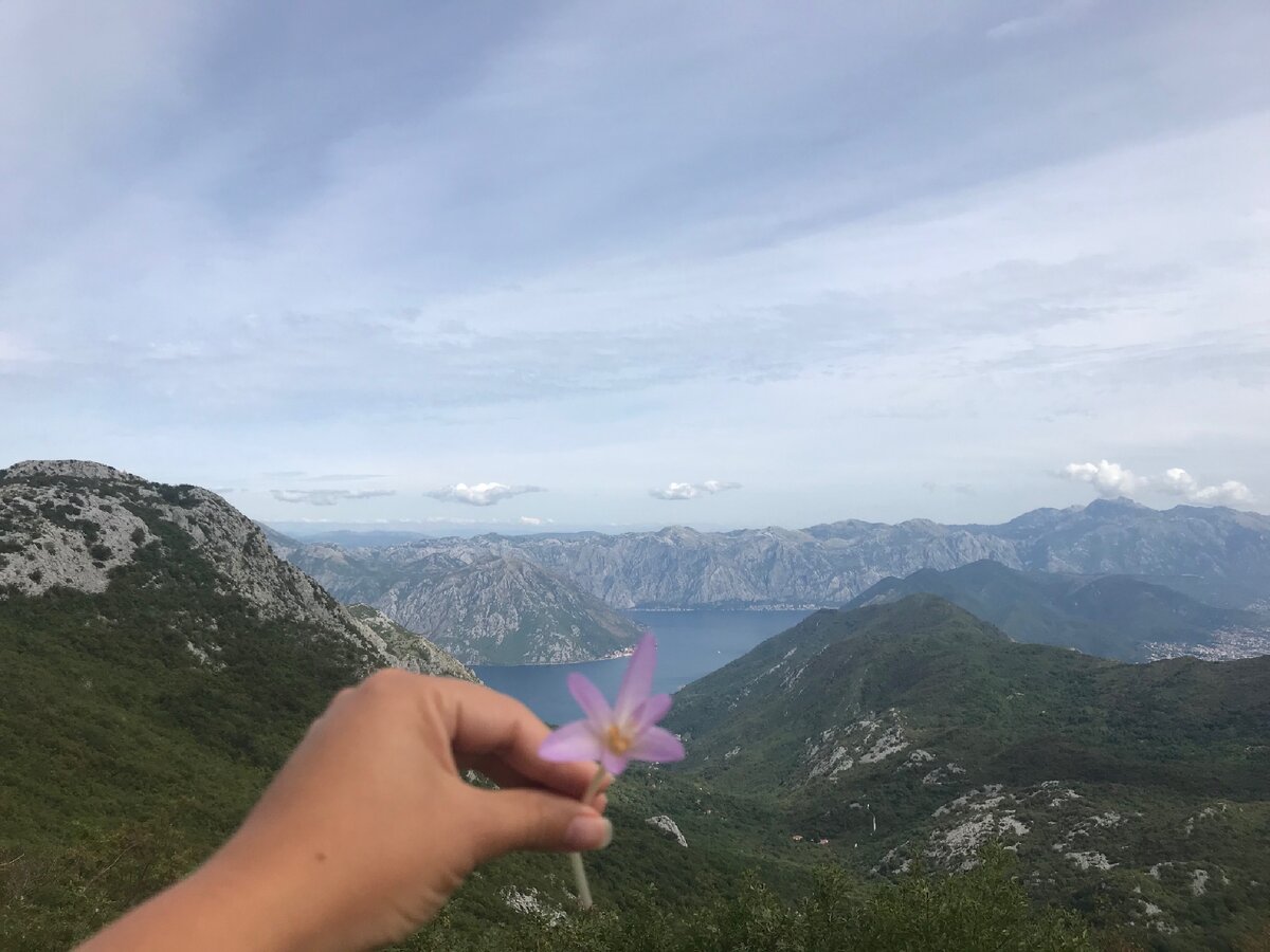 Черногория