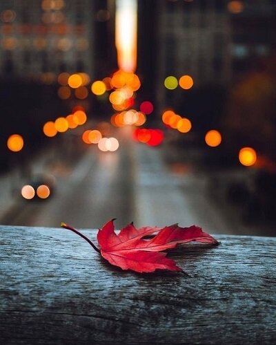 Тамара Коханская