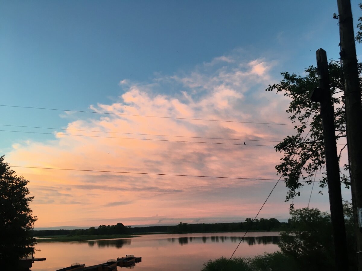 30.07.20