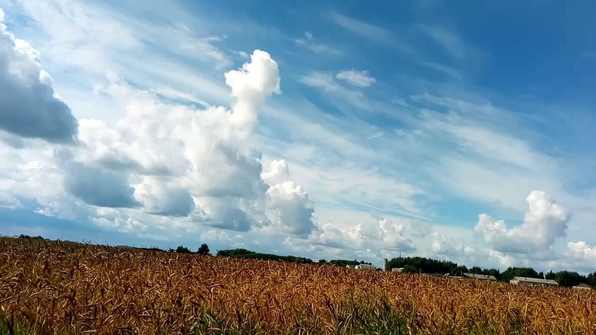 Очищать мысли и тело необходимо (фото автора)