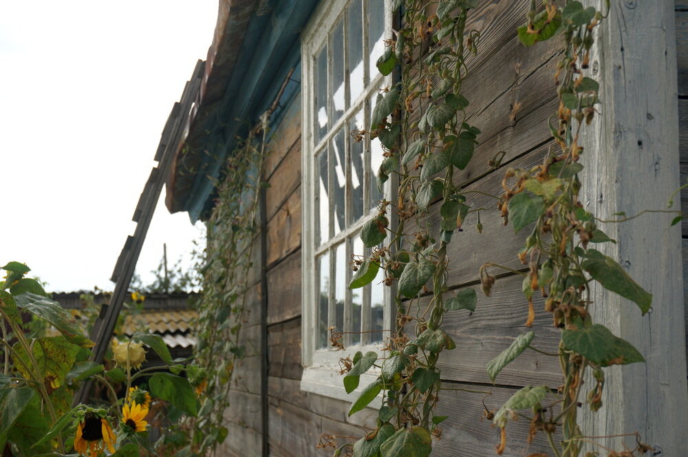 Наш флигель. 