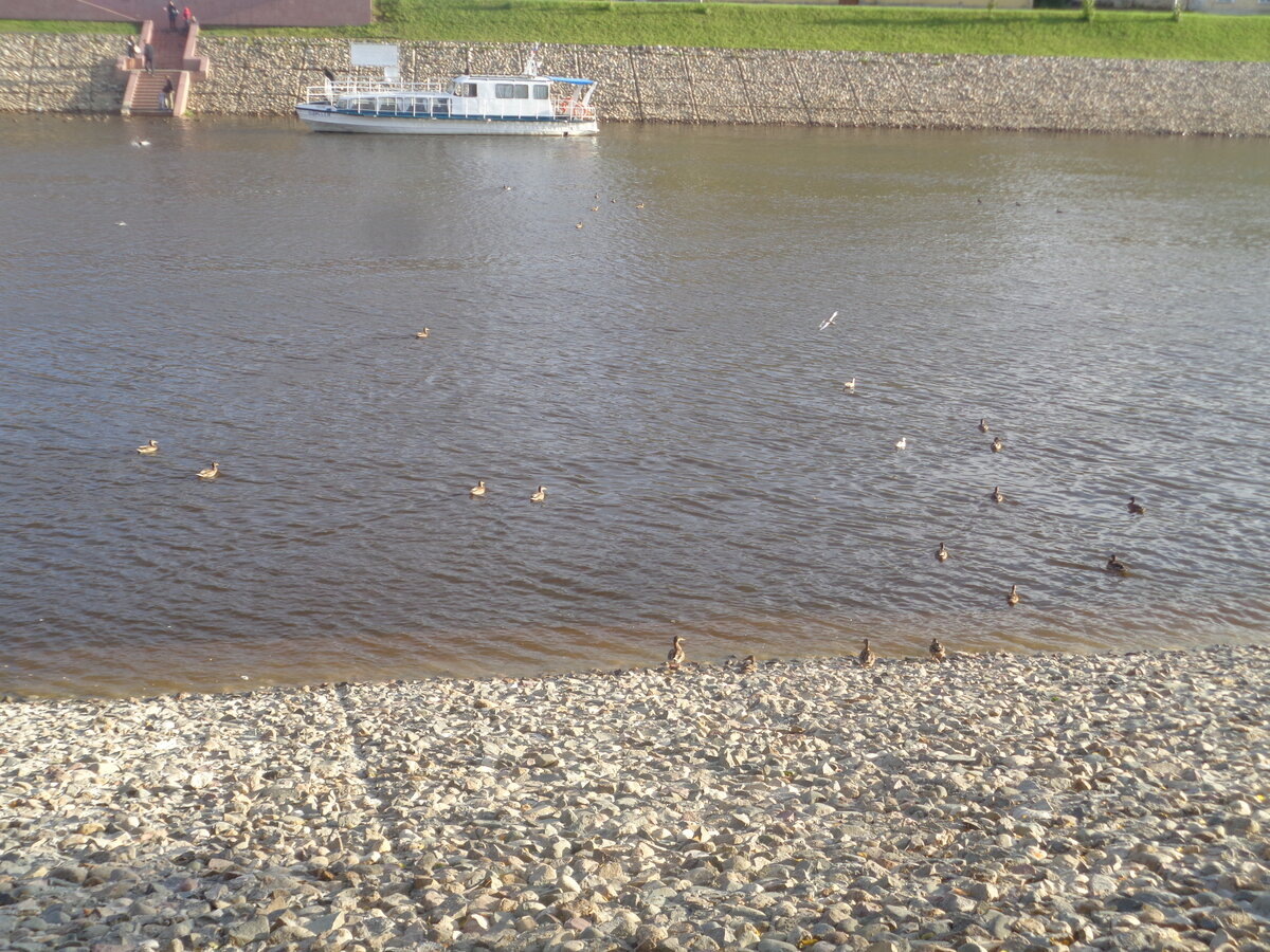 Набережная Вологды (лето 2019)