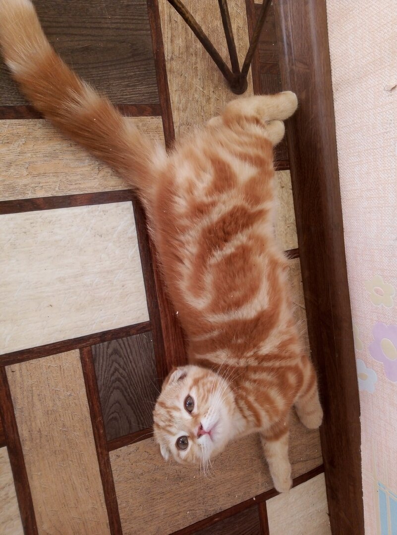 Фото из личного архива