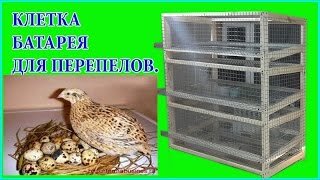 Клеточная батарея для бройлеров, клетки для домашней птицы