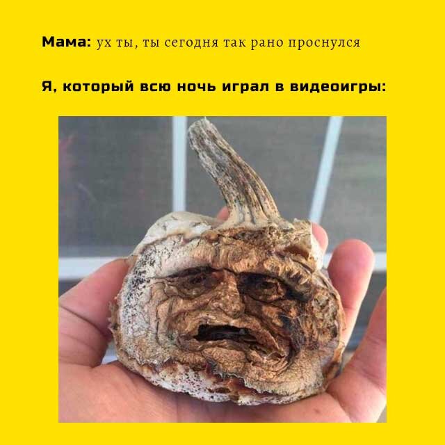 №2. Кто рано встает тому...