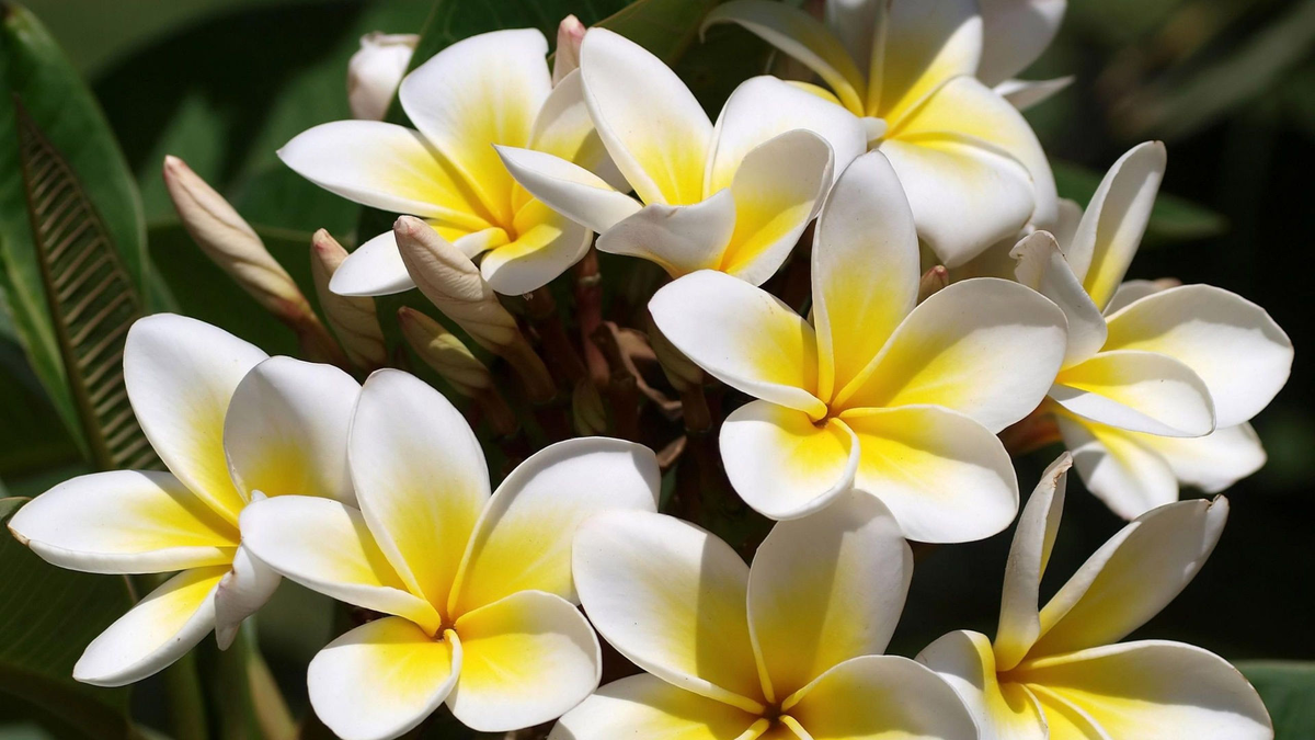 Источник фото: blob:https://zen.yandex.ru/5991363b-1b00-4c63-929c-cd61aeeac5b3