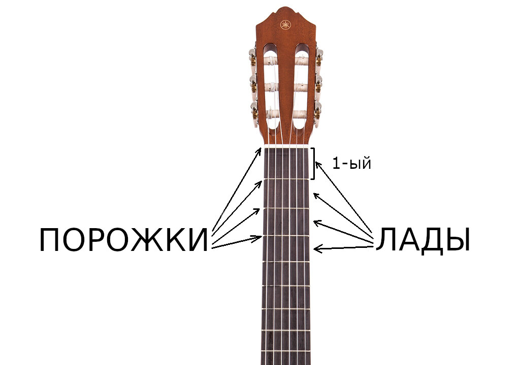 Лады на гитаре. Всё что надо знать о ладовых порожках.