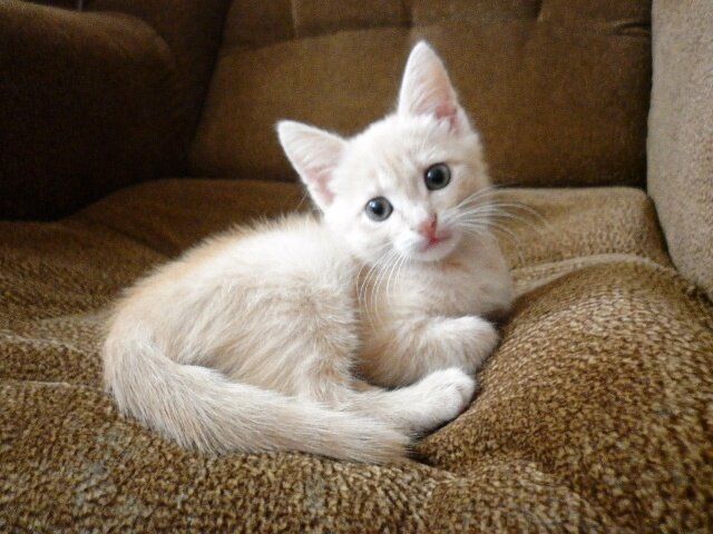 Фото автора статьи