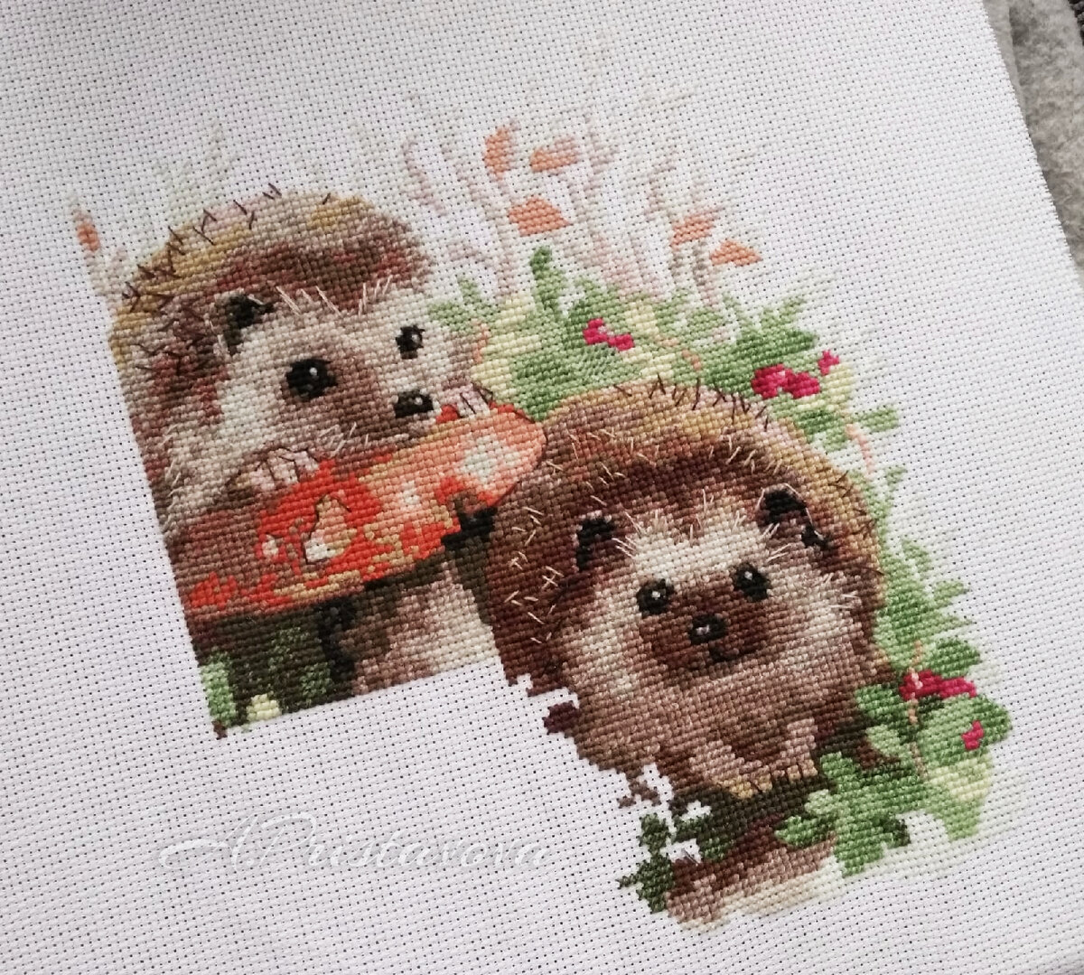 Риолис ежики в бруснике схема