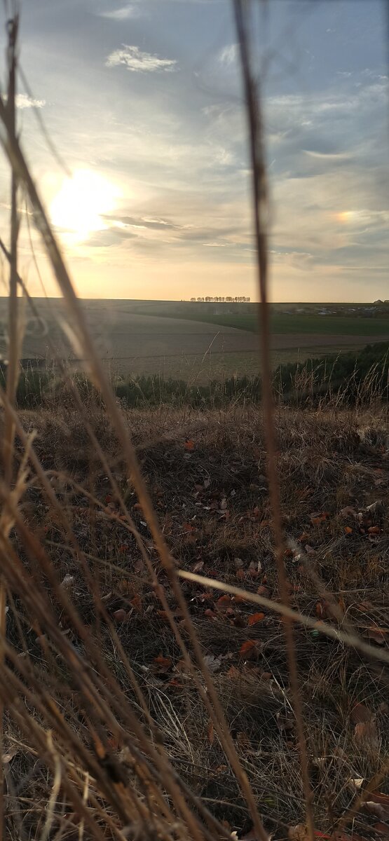 С помощью знаний можно достичь абсолютно всего.