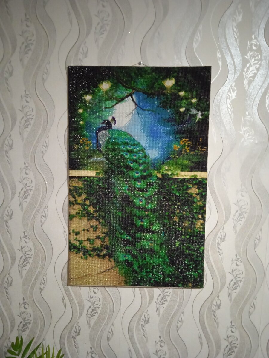 Павлин... Фото автора