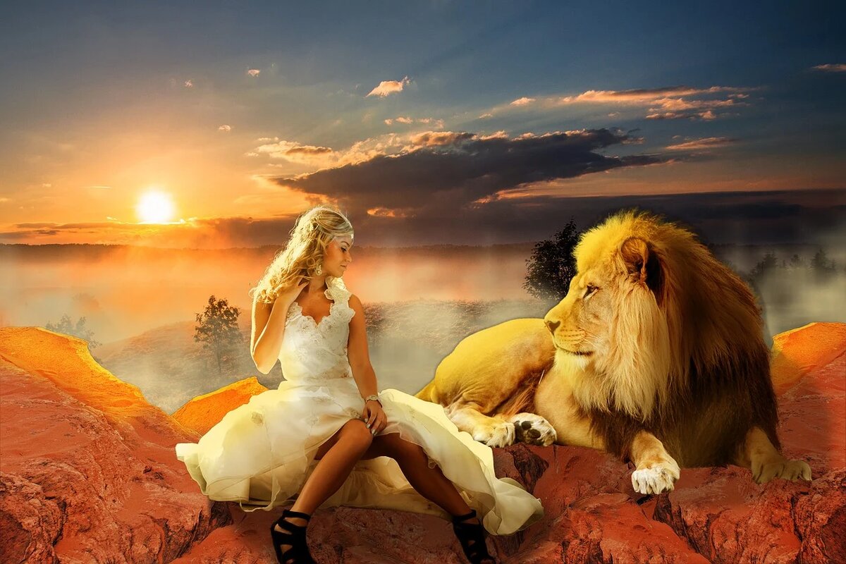 Девушка и Лев. Фотосессия со львом. Красивая девушка со львом. Красивый Лев и женщина.