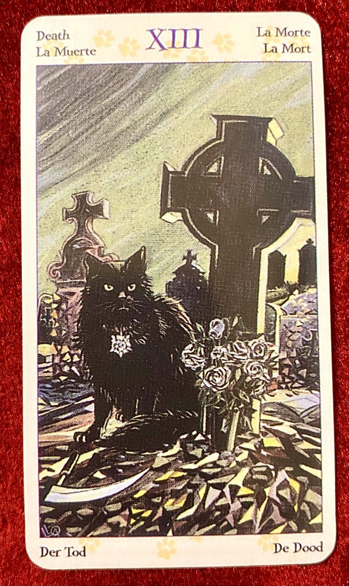 Первая карта