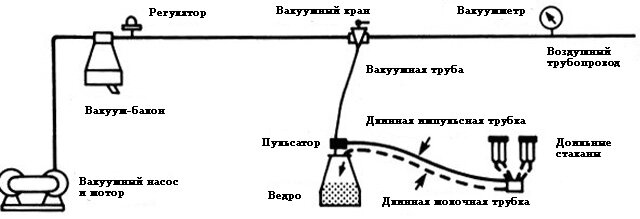 Как переделать доильный аппарат для коров в доильный аппарат для коз?|obuhuchete.ru