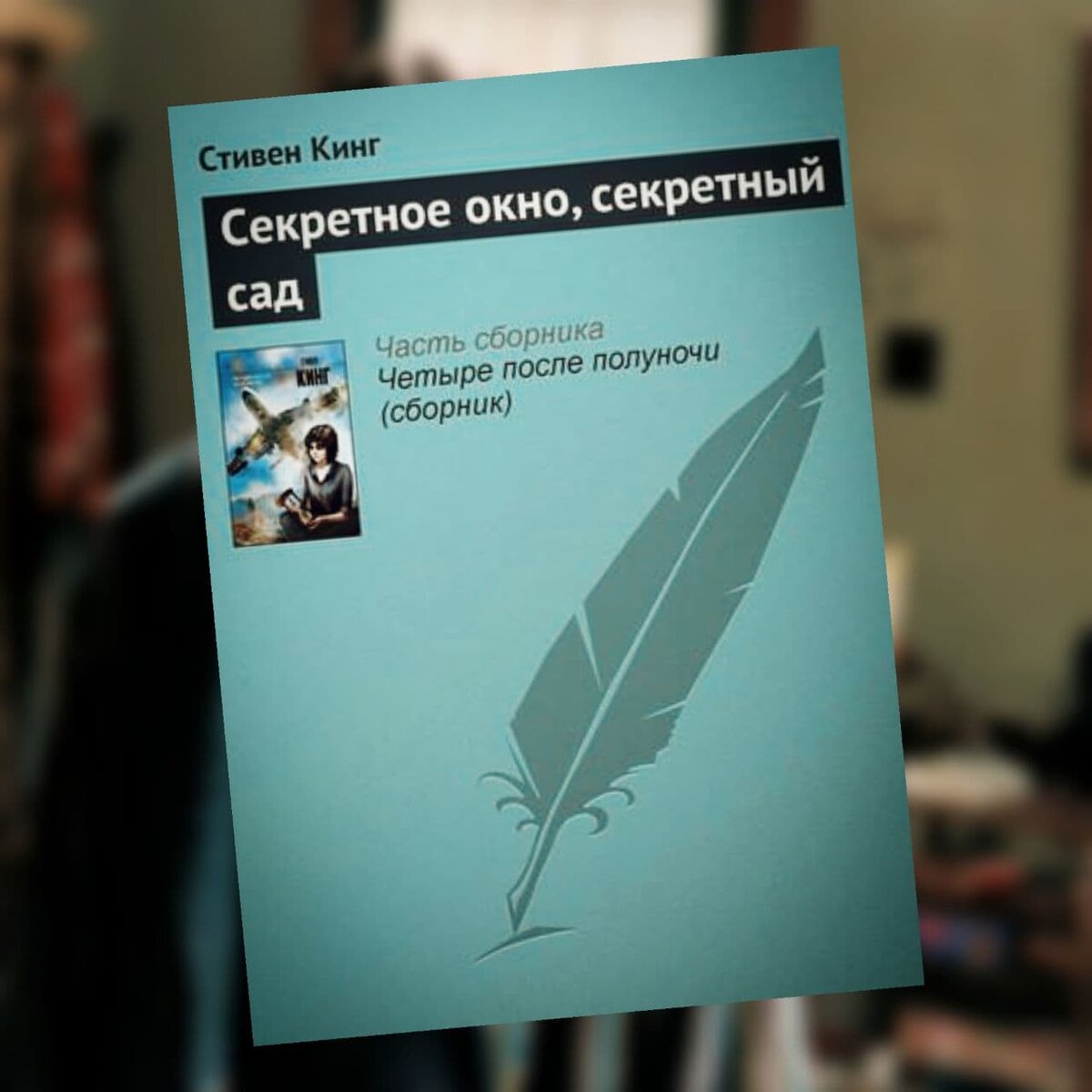 Тайное окно»: Повесть Стивена Кинга и её экрнизация! | Tvoi Obzor | Дзен