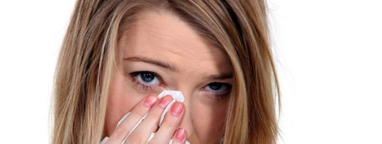 яндекс картинки 