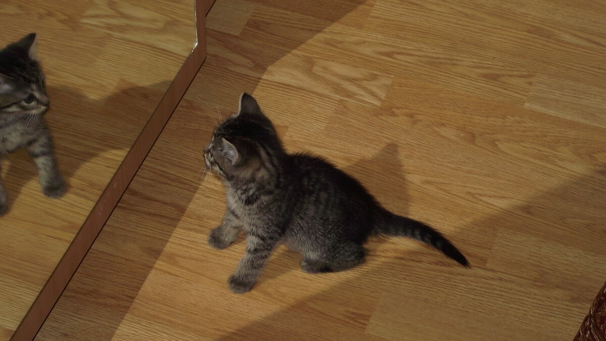 Личное фото.