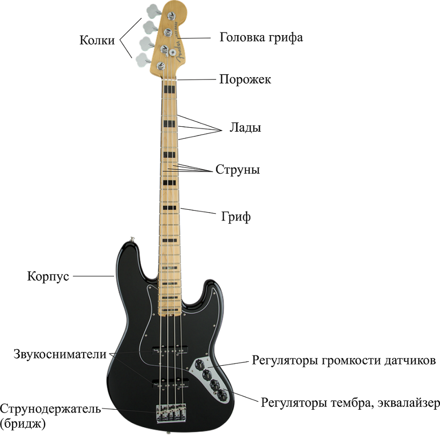 Конструкция бас-гитары