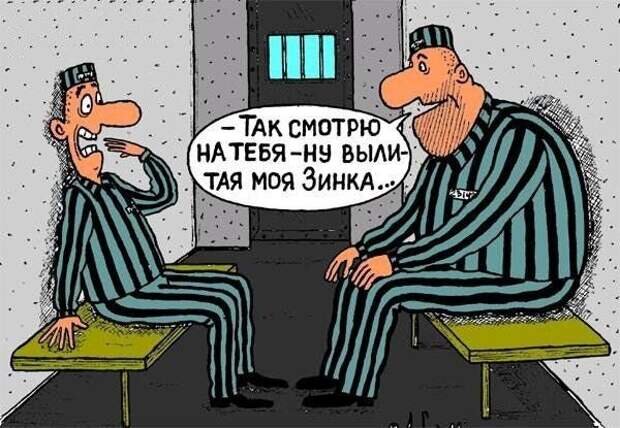 карикатура из открытых источников интернета