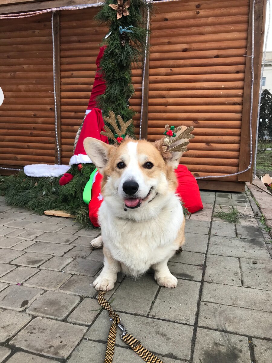 Хантер позирует.