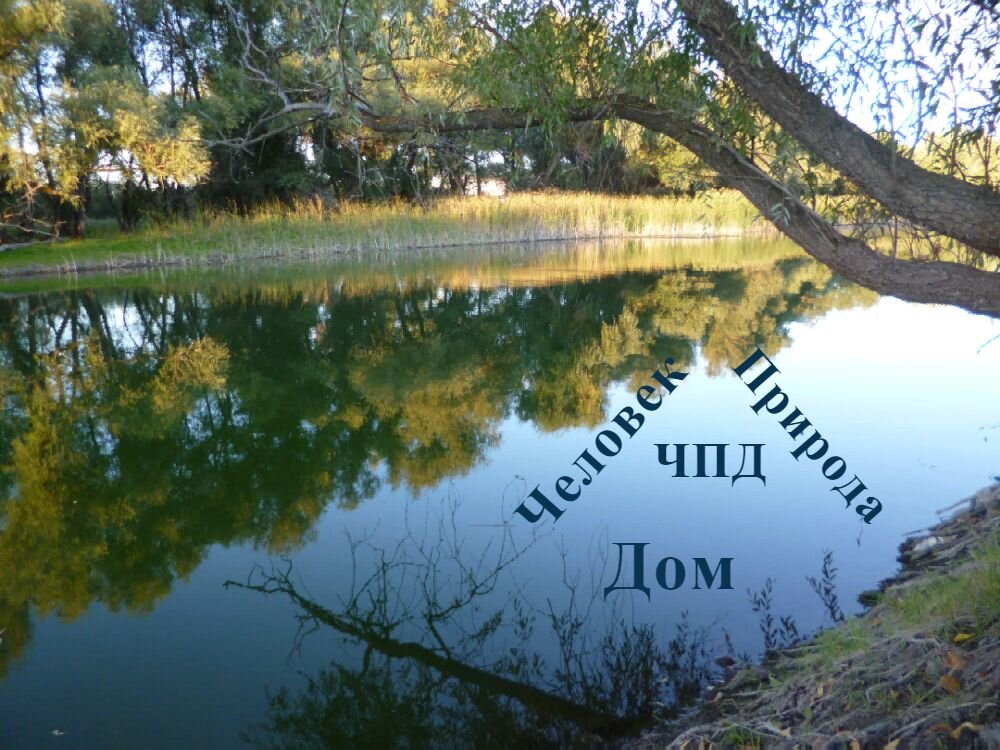  Логотип канала. Фото автора