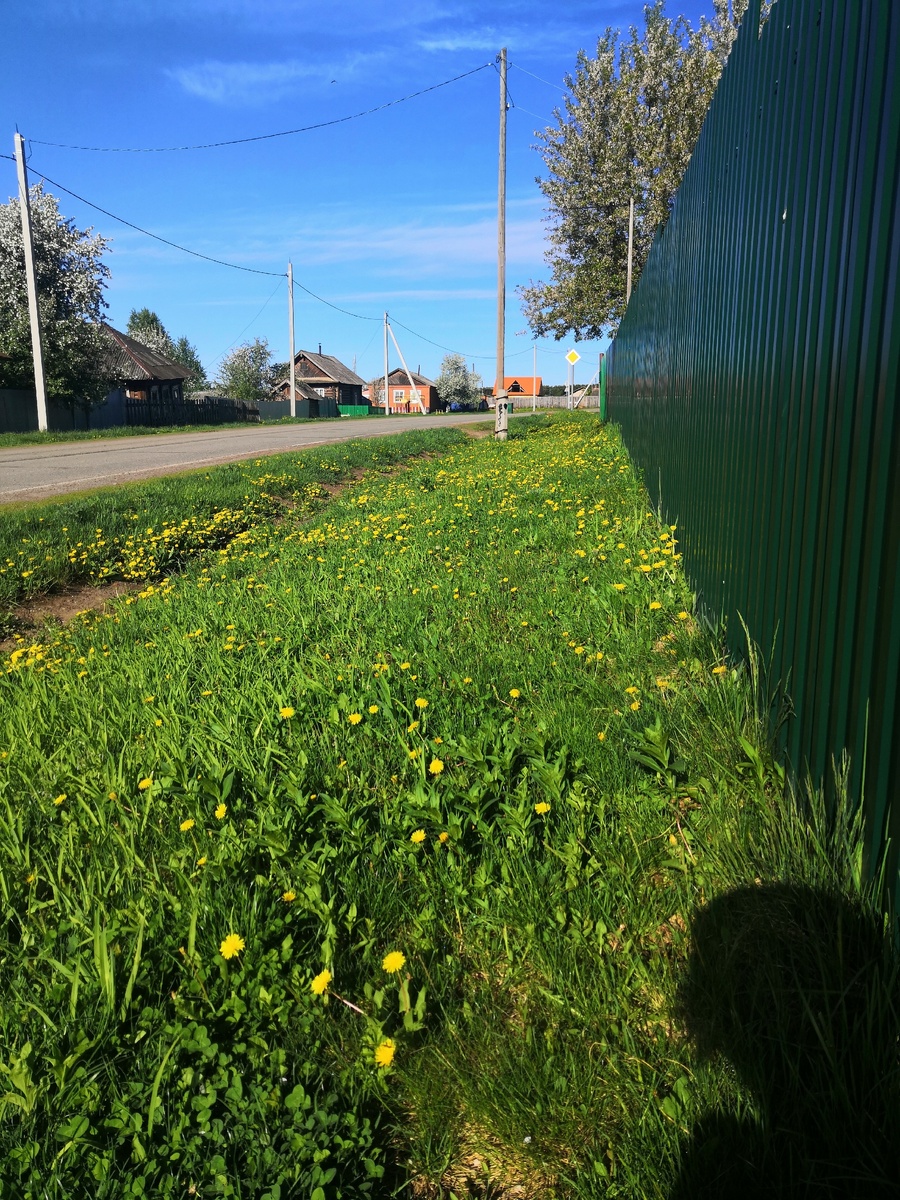 Моя родная деревня 