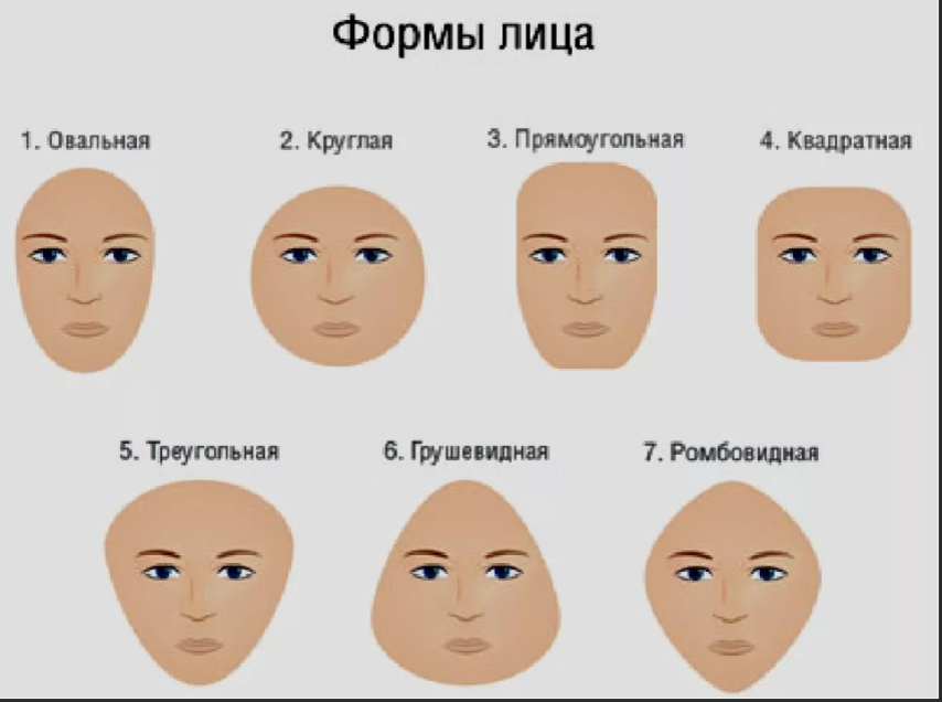 Округлая форма головы. Формы лица. Форма лица человека. Типы лица. Типы формы лица.