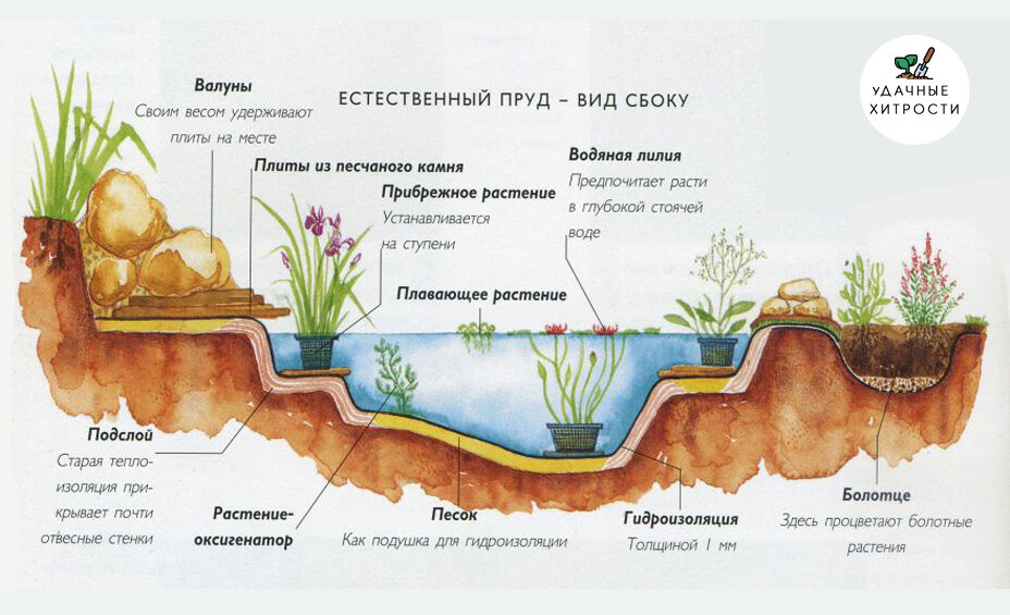 Схема водоема на участке, пример