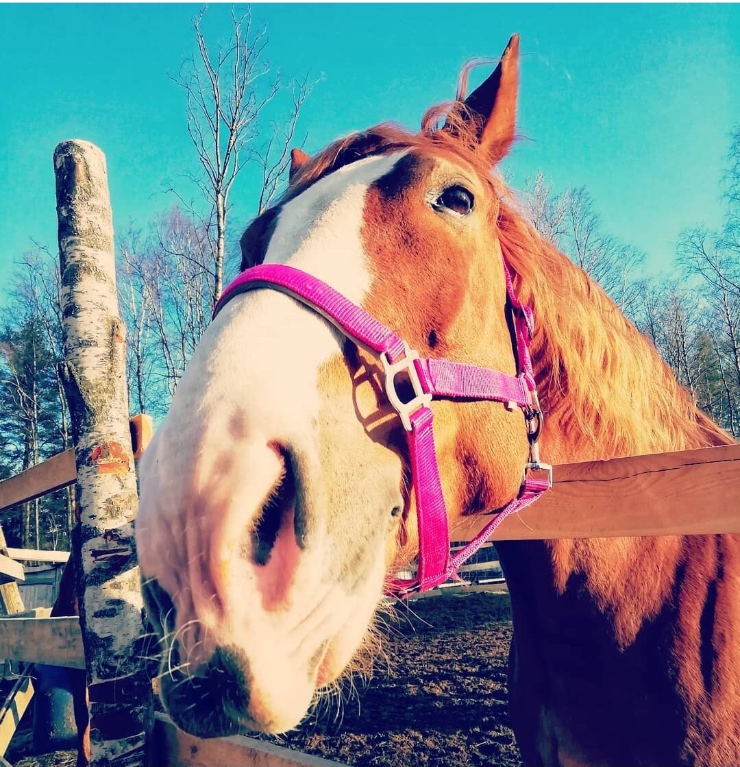 Фото взято из личного архива