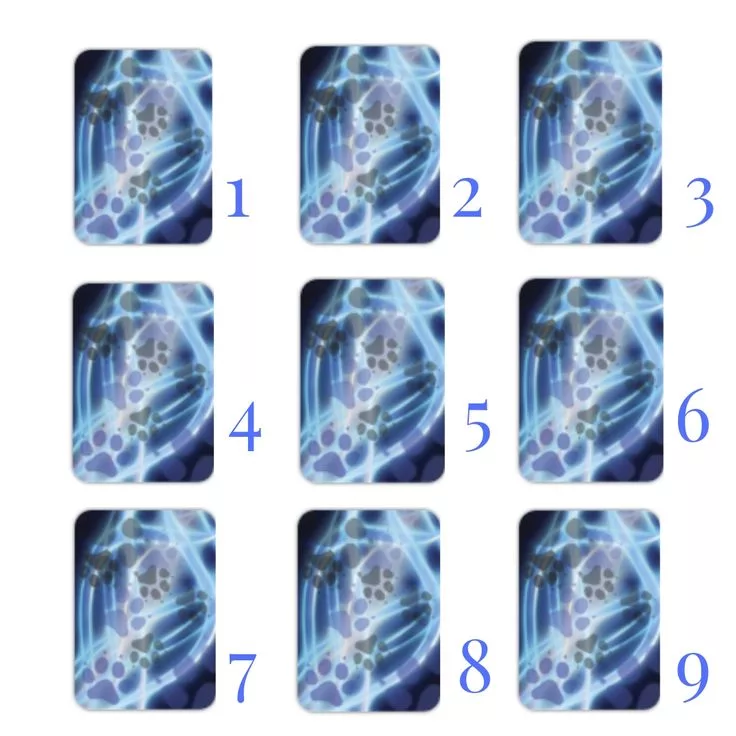 фото в свободном доступе