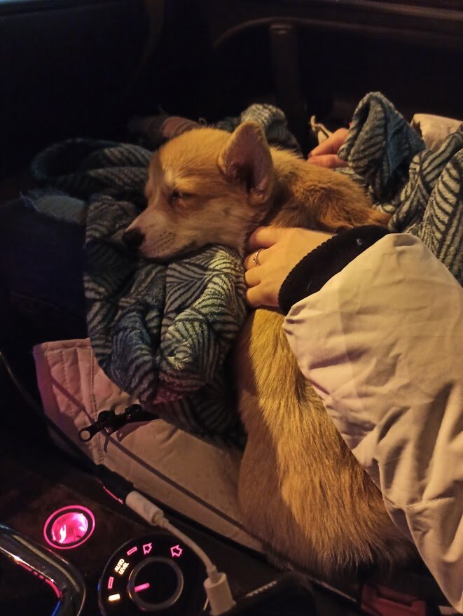 Едем домой от мамы.