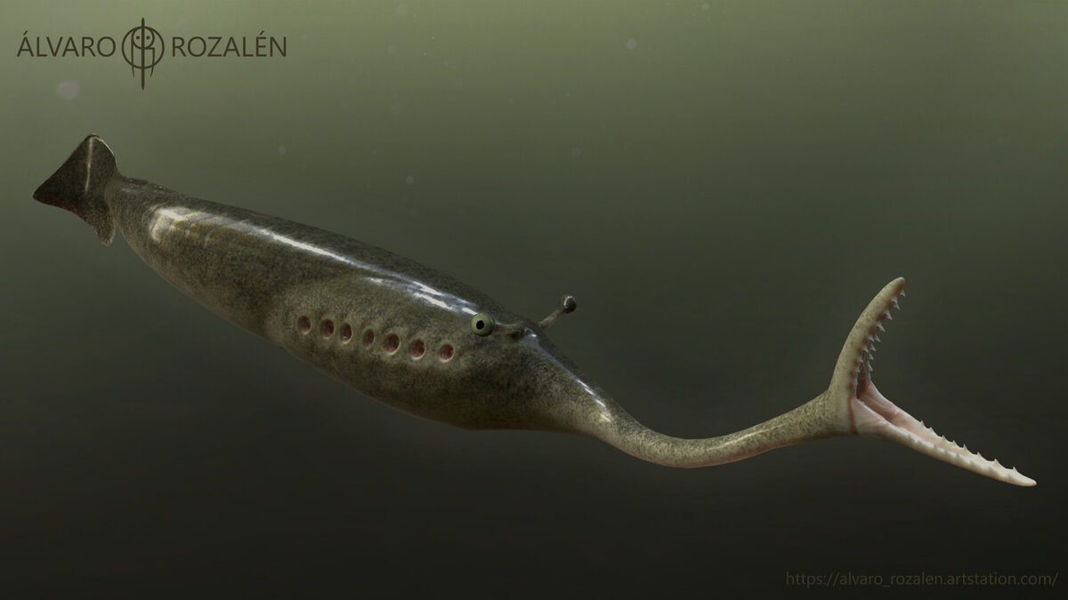 Примерно это я рисовал в 3 годика.